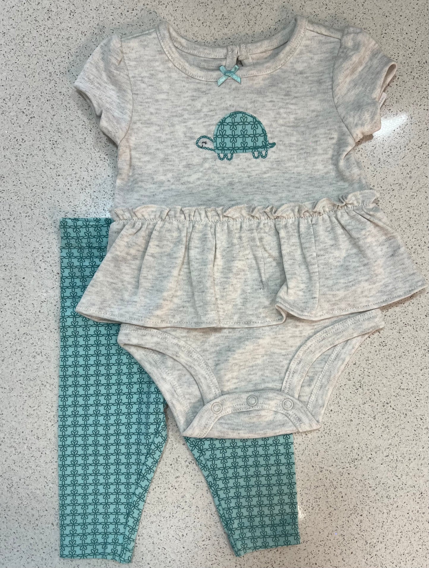 Conjunto de 2 piezas Carters de tortuga