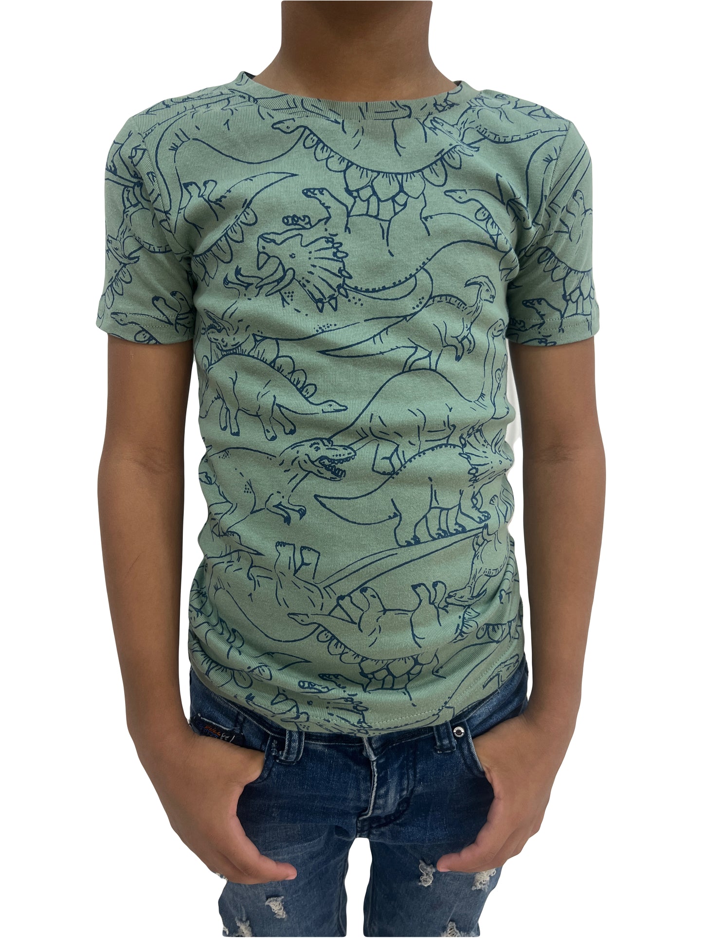 Carters - Dinosaurio Franelas