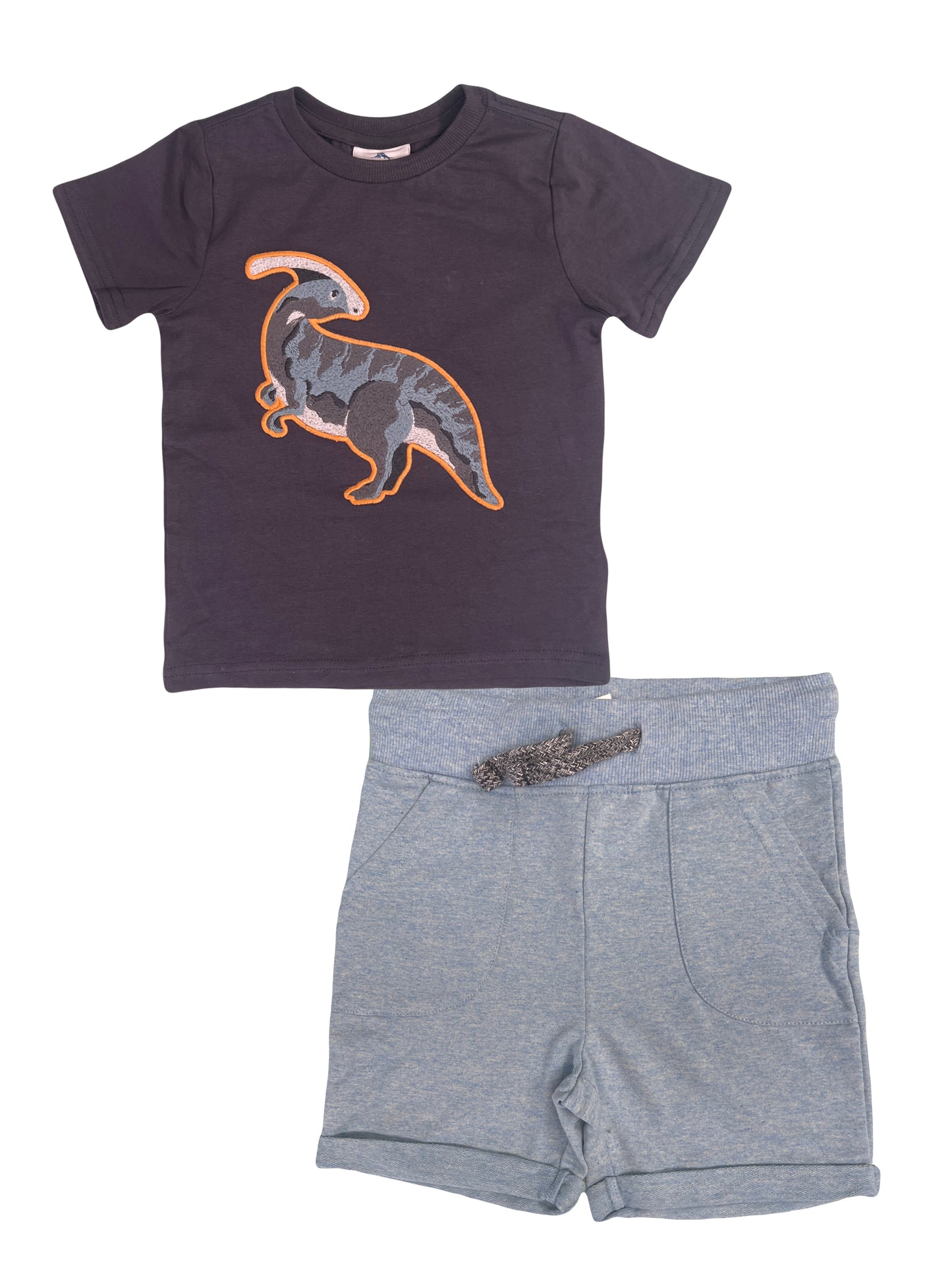 Conjunto de Dinosaurio de franela con short