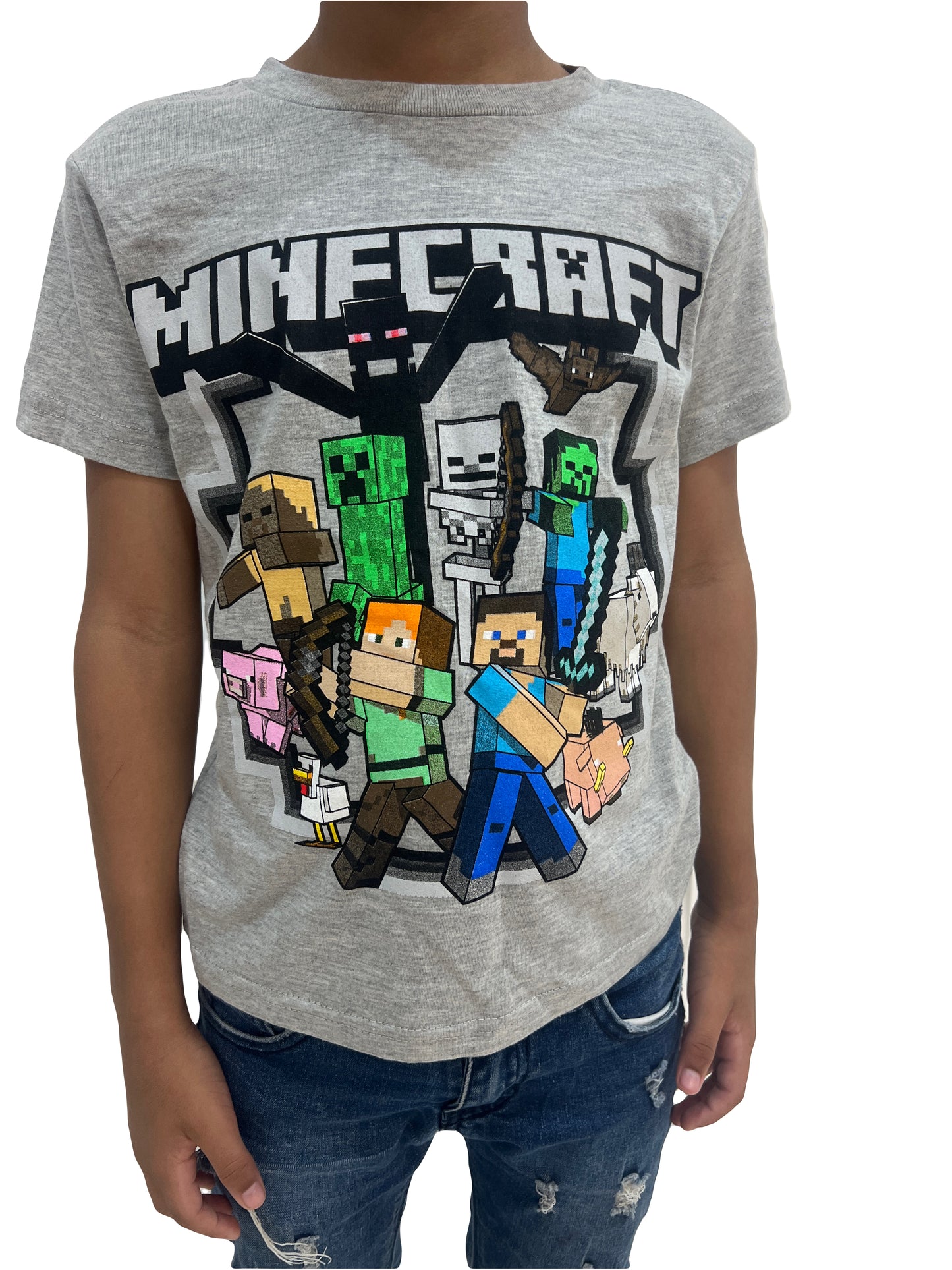 Franela de Minecraft